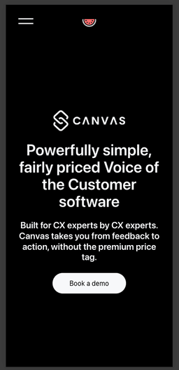 Canvas